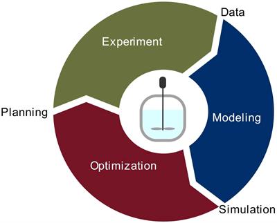 Simulation and optimization of nutrient uptake and biomass formation using a multi-parameter Monod-type model of tobacco BY-2 cell suspension cultures in a stirred-tank bioreactor